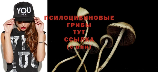 тгк Наволоки