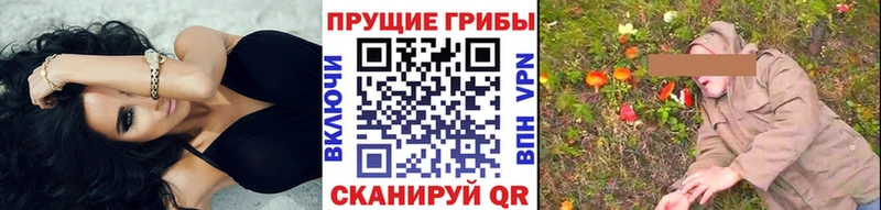Галлюциногенные грибы Magic Shrooms  наркотики  Тольятти 