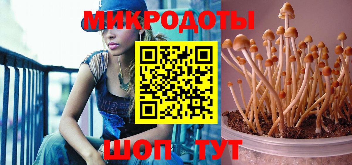 Галлюциногенные грибы Magic Shrooms  продажа наркотиков  Тольятти 