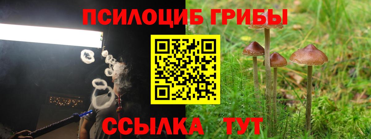 Псилоцибиновые грибы GOLDEN TEACHER Тольятти