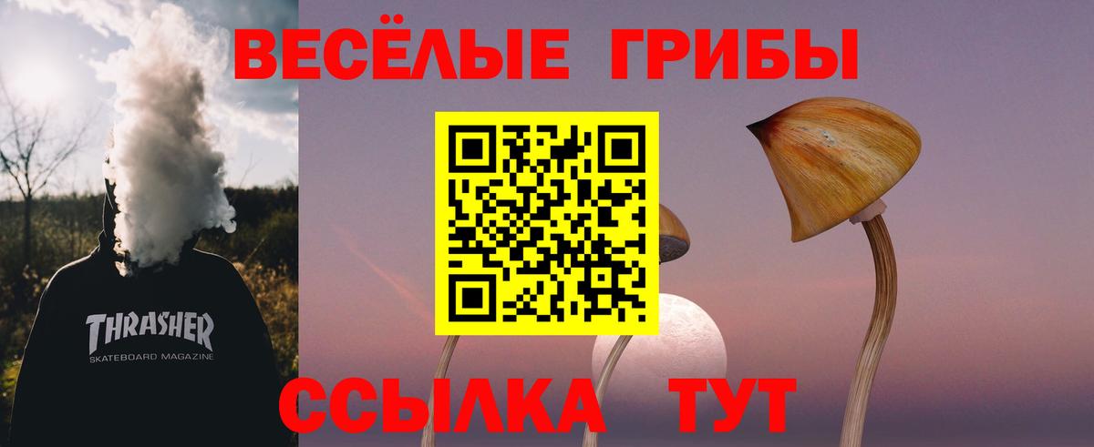 Псилоцибиновые грибы мицелий  Вход с VPN  Тольятти  Галлюциногенные грибы Magic Shrooms 